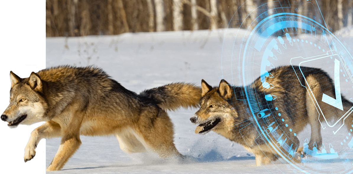 engenharia-do-caos-1